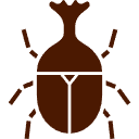 大きくて活発なカブトムシやオオクワガタがたくさんいるよ!