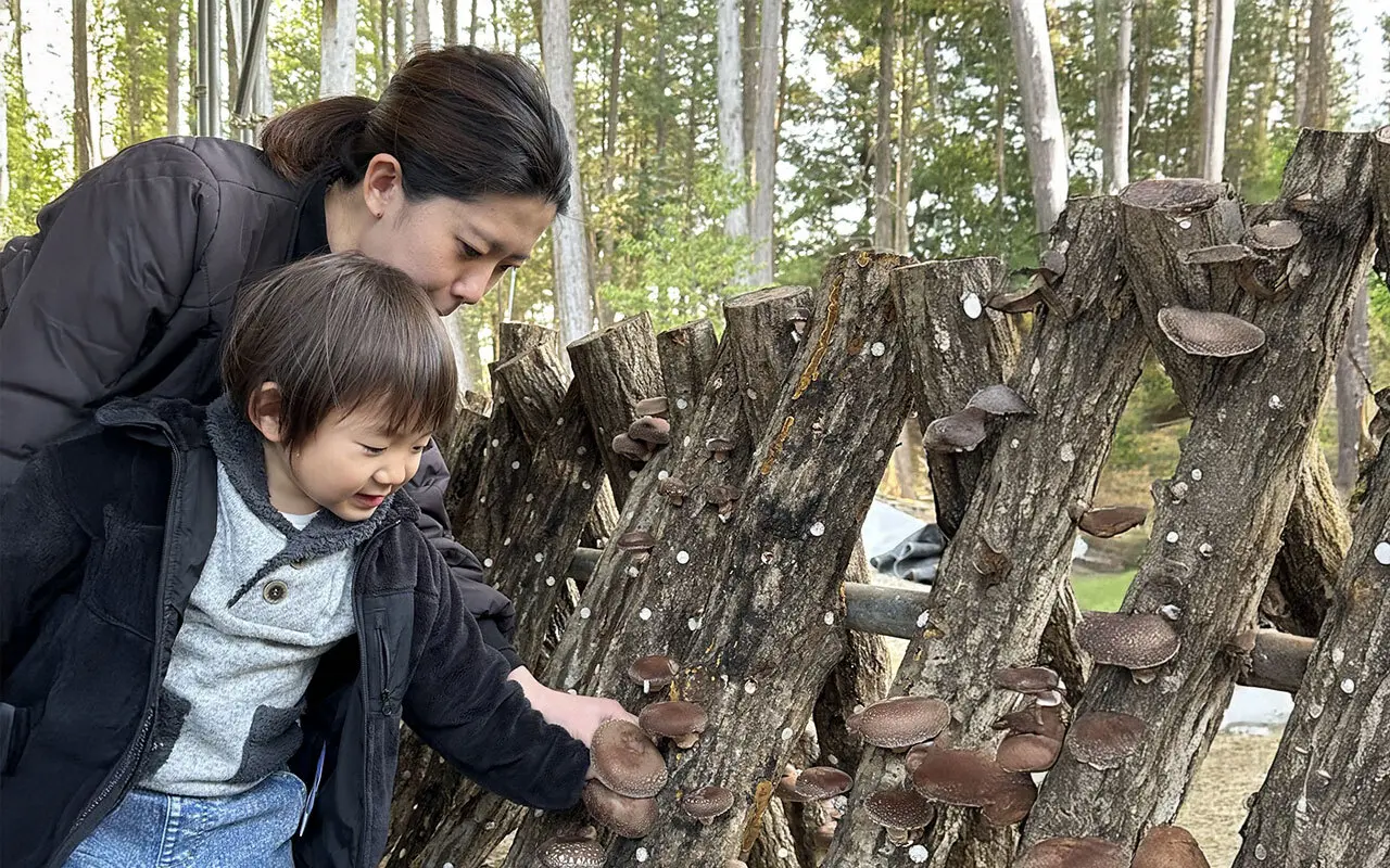 しいたけ狩りとバーベキュー