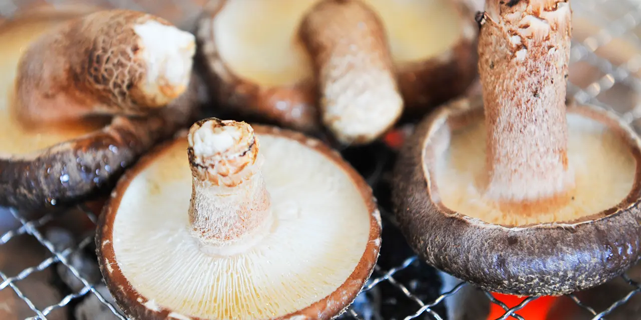 バーベキューのみ