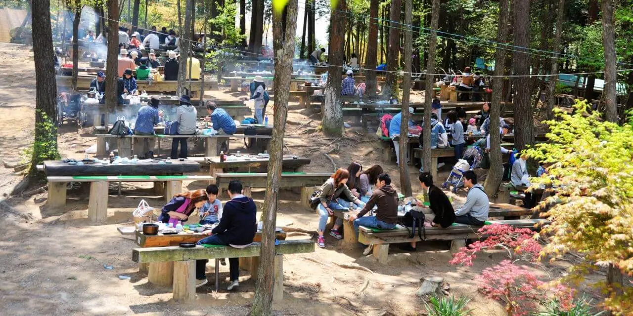 バーベキューのみ