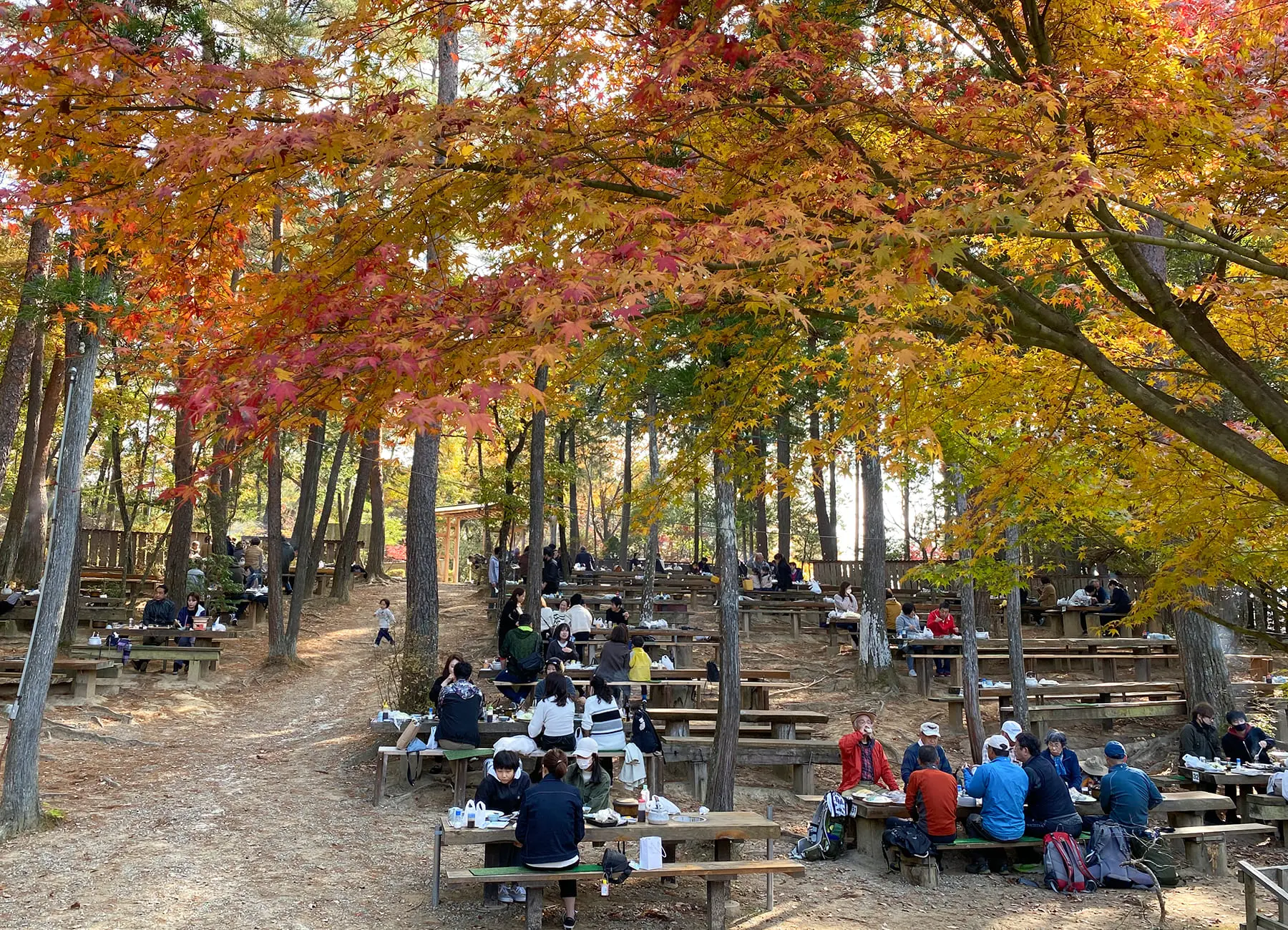 おすすめコース