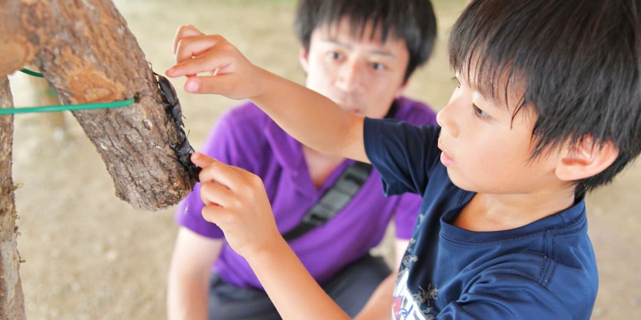 カブトムシ・オオクワガタ採りと鮎のつかみどりバーベキュー