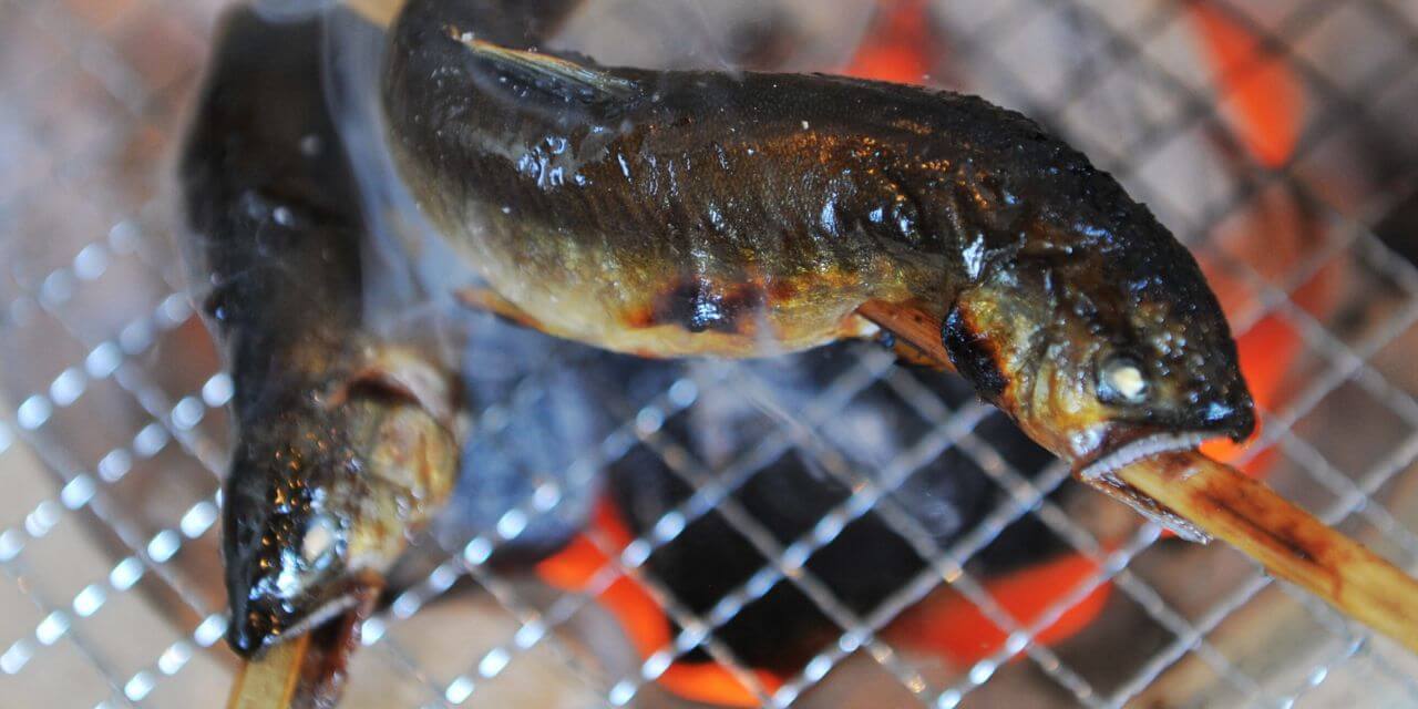 イワナ・ニジマス釣りとバーベキュー