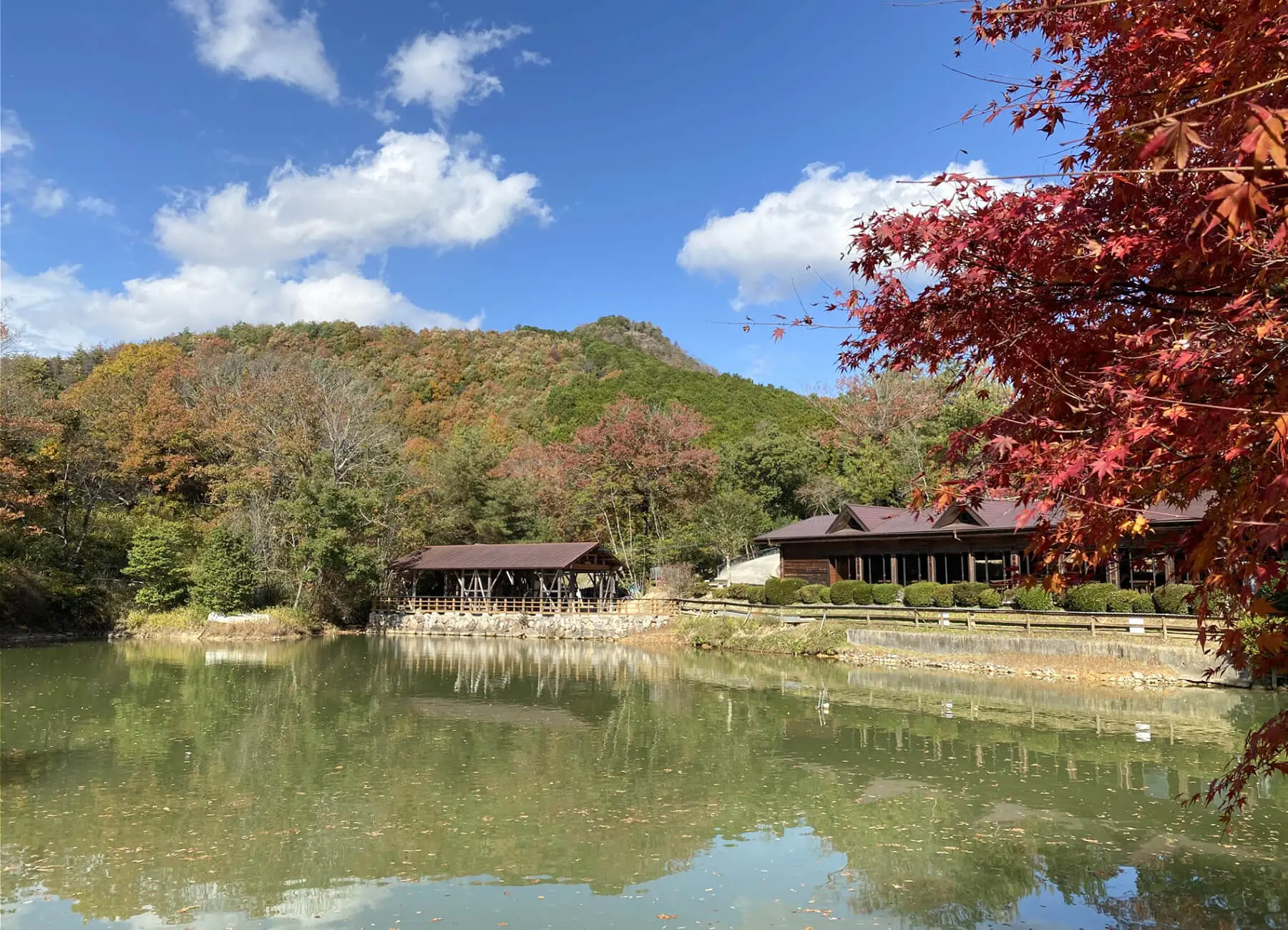 しい茸園有馬富士