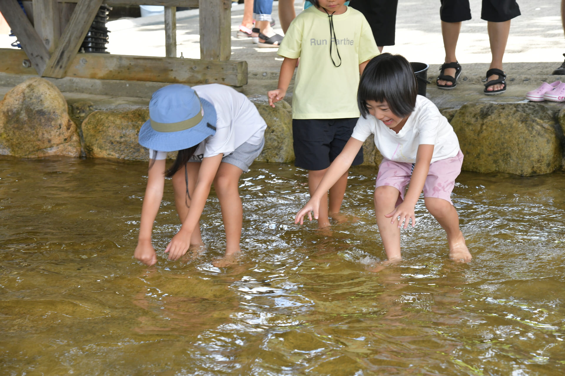 しい茸園有馬富士