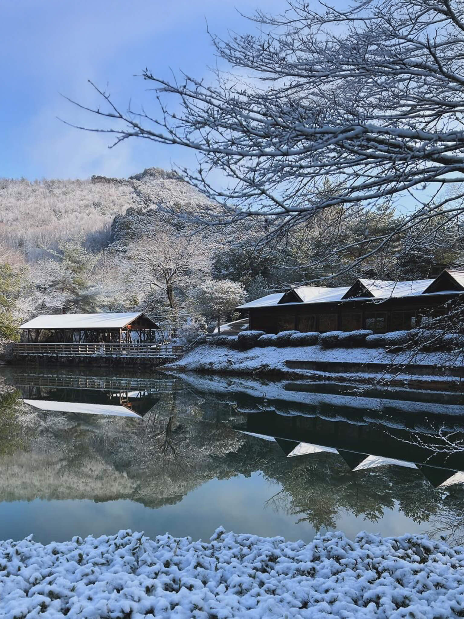 しい茸園有馬富士